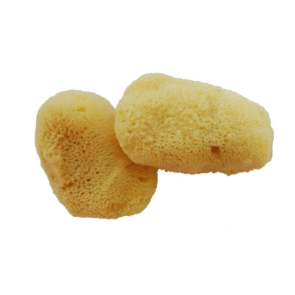 Blending Sponge